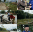 27sent - Урус-Мартановский район